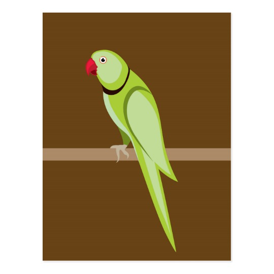 540x540 Green Ringneck Parrot Vector Postcard