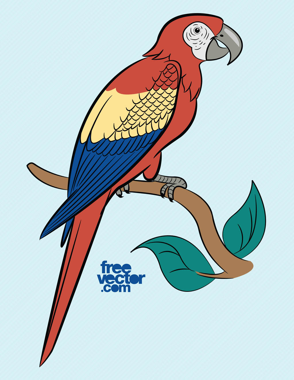 1024x1326 Parrot Vector Art Amp Graphics