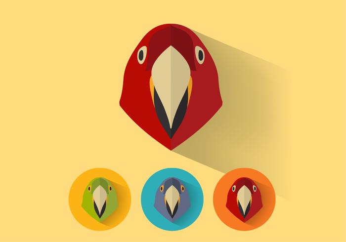 700x490 Parrot Vector Portraits