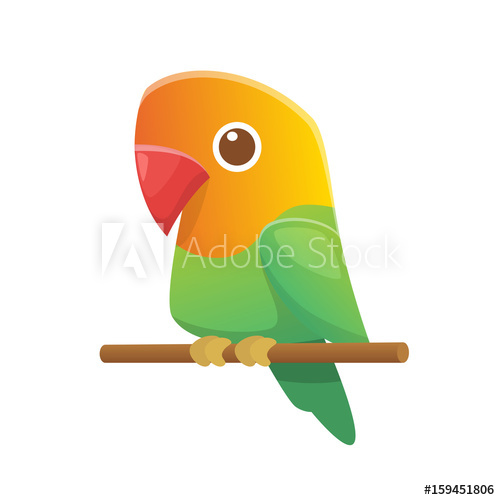 500x500 Cute Cartoon Lovebird Parrot Vector