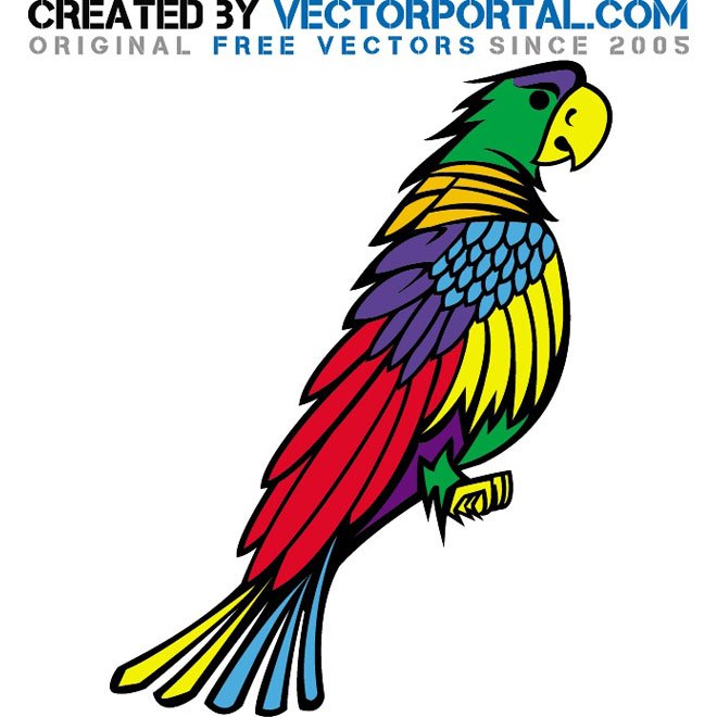 660x660 Free Parrot Vector Graphics.eps Psd Files, Vectors Amp Graphics
