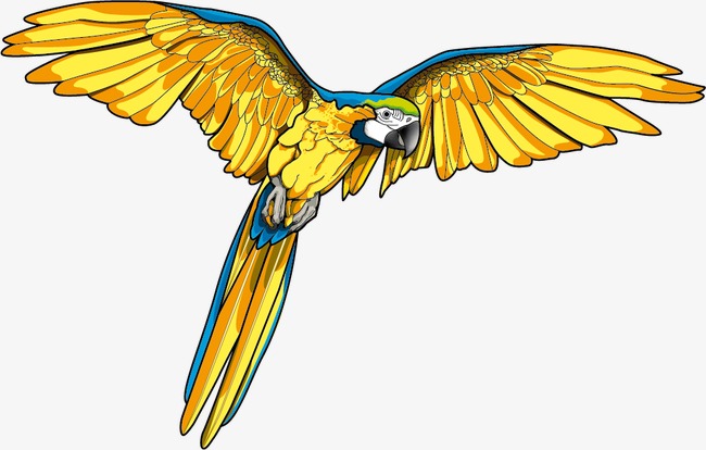 650x414 Fly Parrot Vector, Bird, Wing, Wings Png And Vector For Free Download