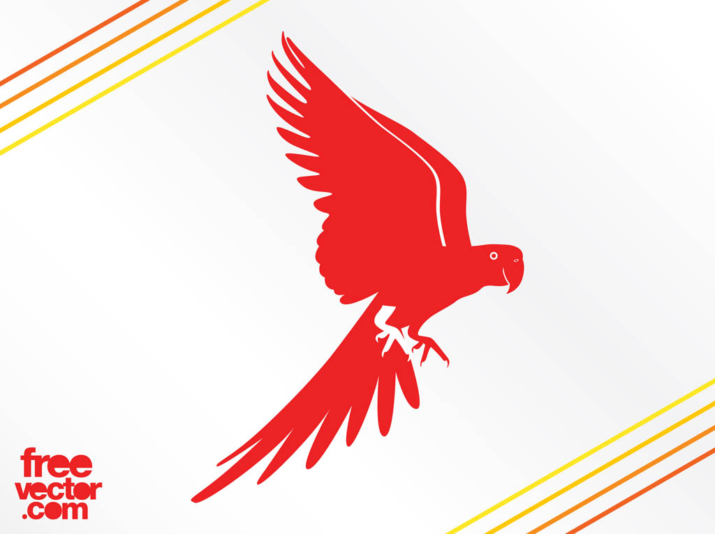 1024x765 Flying Parrot Silhouette Vector Art Amp Graphics