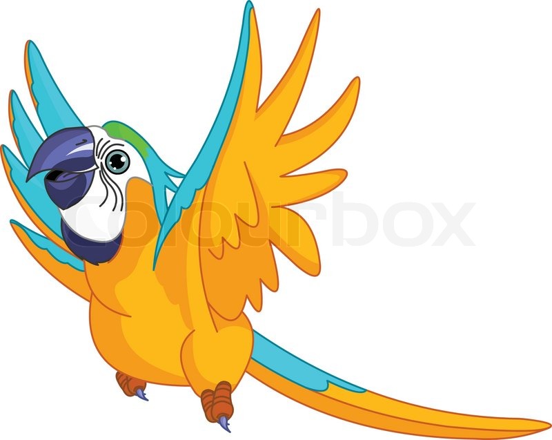 800x637 Illustration Of Happy Flying Parrot Stock Vector Colourbox