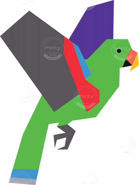450x600 Male Eclectus Parrot Vector Artwork
