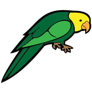 300x300 Parrot Vector Image Vp