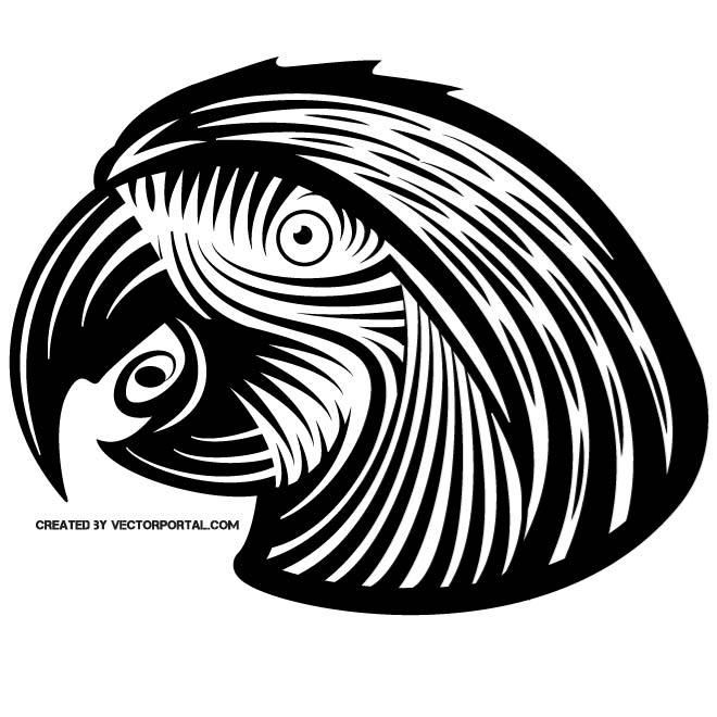 660x660 Black Parrot Vector Art. Animal Vectors