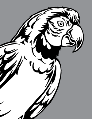 300x387 Sea Turtle And Parrot Vectors Vector Genius