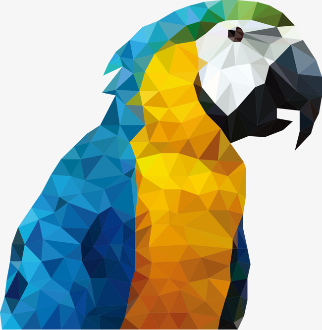 Parrot Vector Art at GetDrawings | Free download