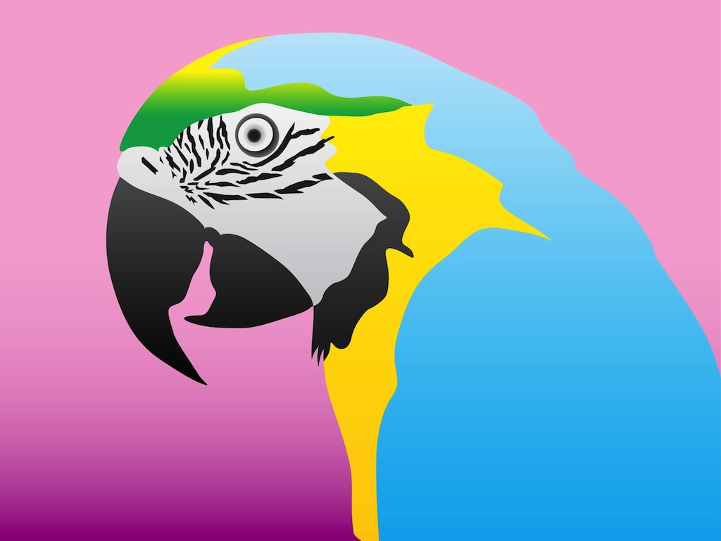 1024x768 Colorful Parrot Vector Art Amp Graphics