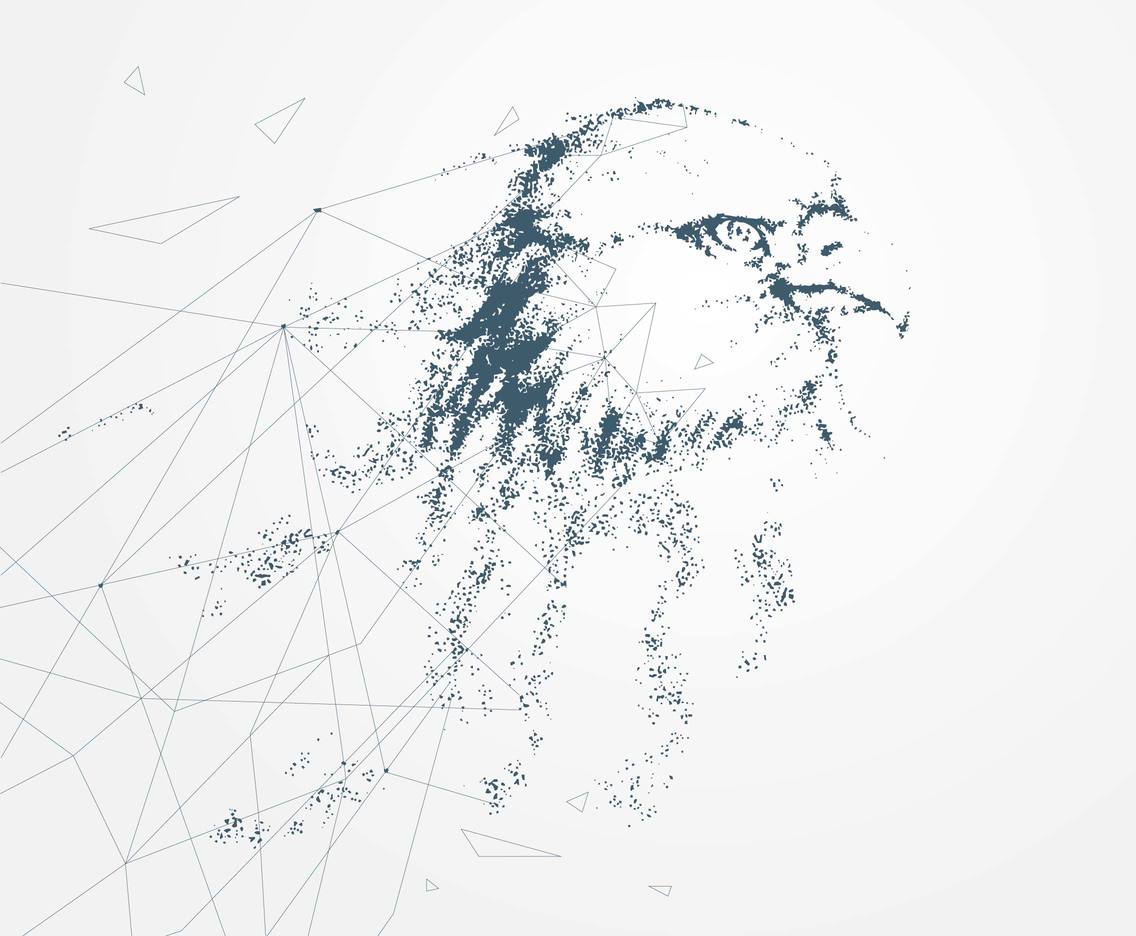 1136x936 Eagle Particles Vector Vector Art Amp Graphics