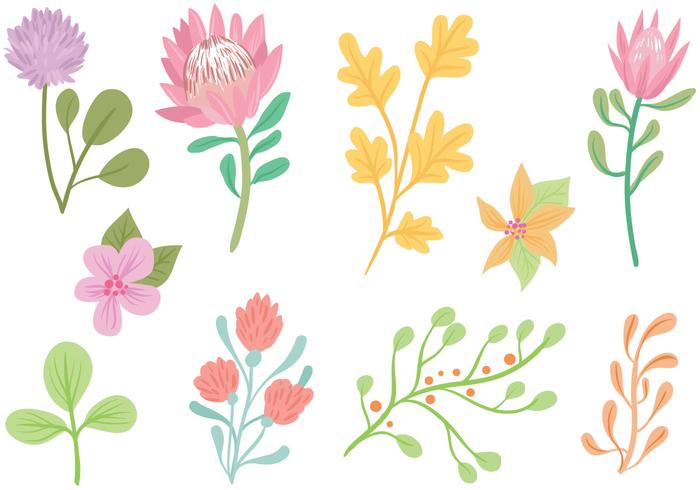 700x490 Free Pastel Flowers Vectors