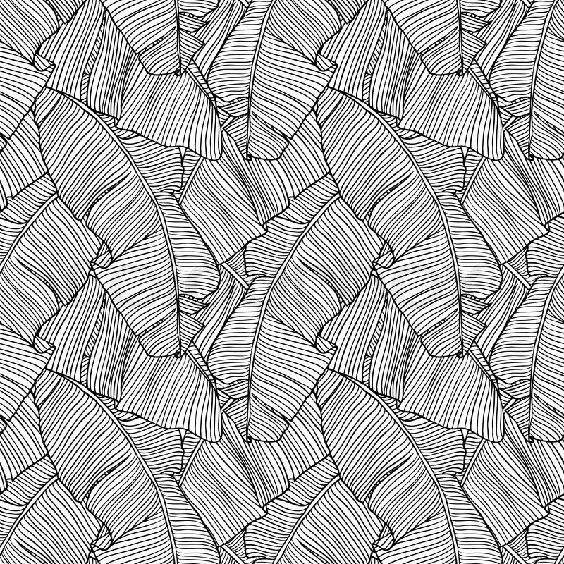 800x800 Vector Illustration Leaves Of Palm Tree Seamless Pattern Stock