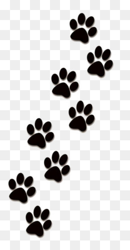 260x499 Paw Patrol Png, Vectors, Psd, And Clipart For Free Download Pngtree