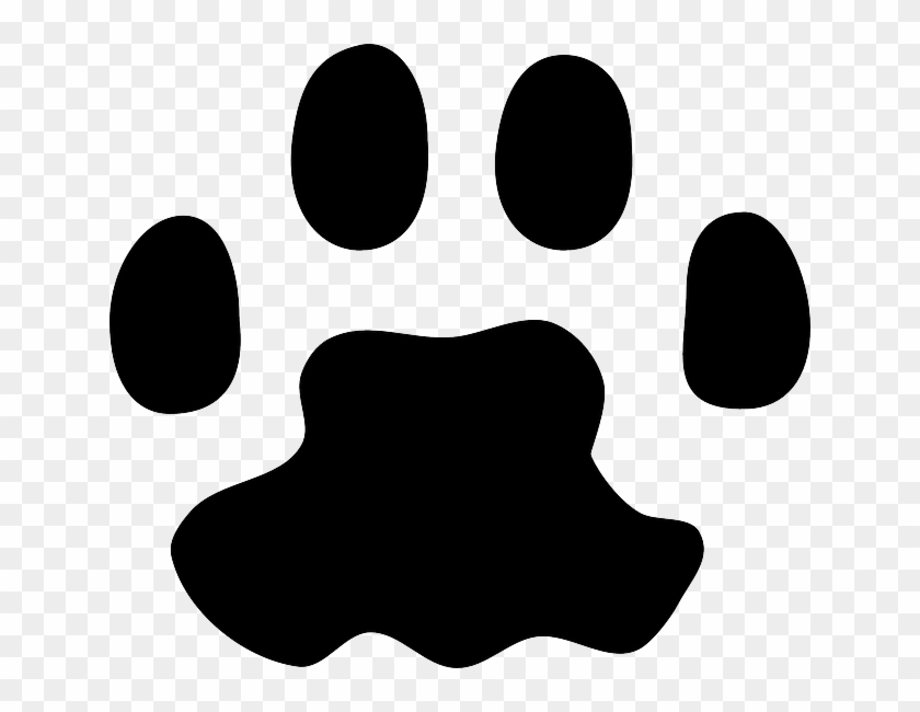840x650 Print, Foot, Paw, Animal, Track