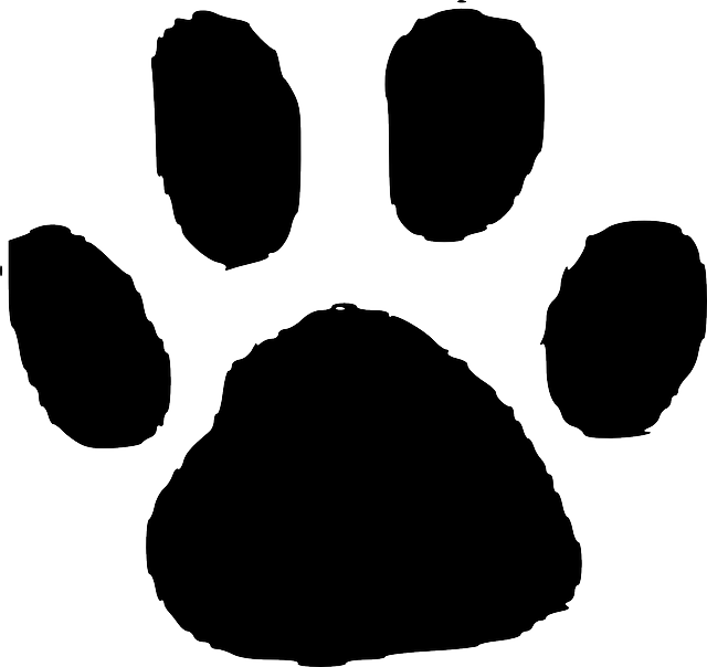 640x604 Paw Print Vector Free Imagen Gratis En Pixabay De Los