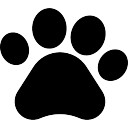 128x128 Pawprint Vectors, Photos And Psd Files Free Download