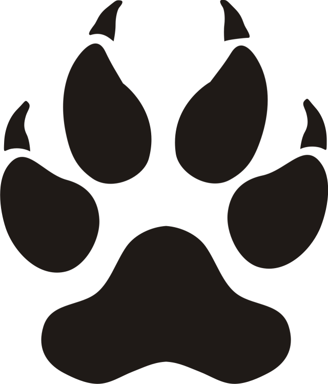 640x749 9 Dog Paw Vectors Download Free Vector Art Amp Graphics Free Vector
