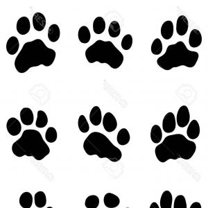 300x300 Photostock Vector Black Print Of Tiger Paw Vector Orangiausa