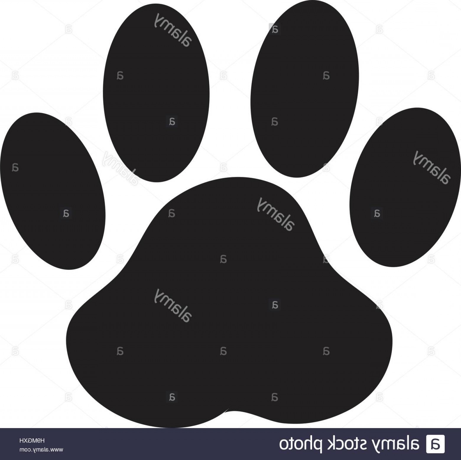 1560x1556 Stock Photo Paw Print Dog Paw Vector Shopatcloth