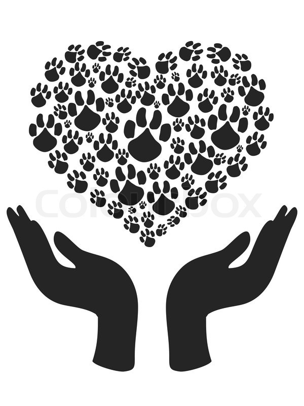 600x800 The Symbol Of Human Hands Holding Heart Shape Of Paw Stock