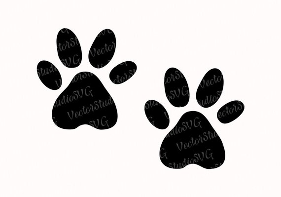 570x399 Cat Paws Svg Animal Paw Vector Clipart Dog Paws Png Silhouette Etsy