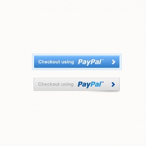 300x300 Paypal Button Vector