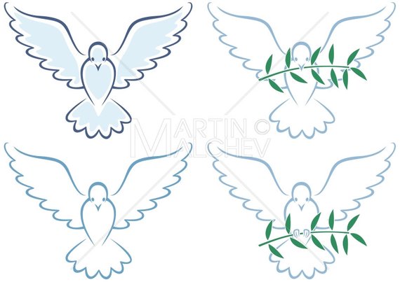 570x403 Peace Dove Vector Cartoon Clipart Illustration. Pigeon Etsy