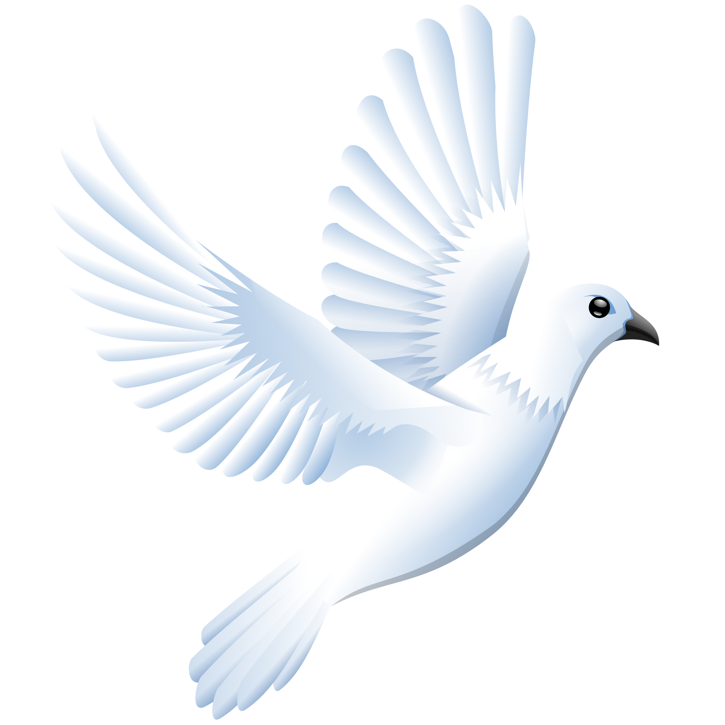2400x2400 Collection Of Free Dove Vector Border. Download On Ubisafe
