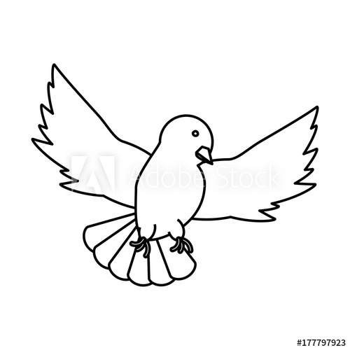 500x500 Peace Dove Vector Illustration