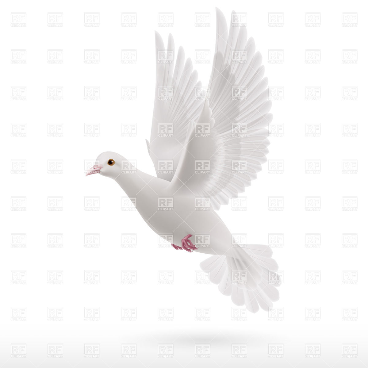 1200x1200 Realistic Flying White Dove
