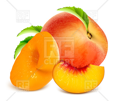400x353 Ripe Peaches Vector Image Vector Artwork Of Food And Beverages