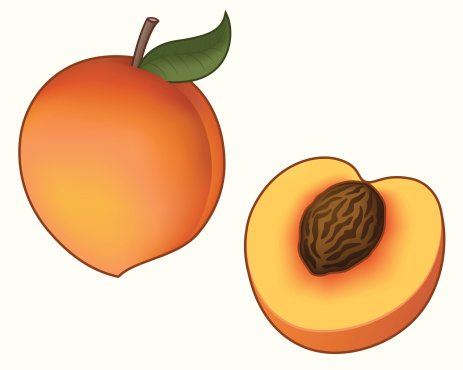 463x370 Peach Vector 13 An Images Hub