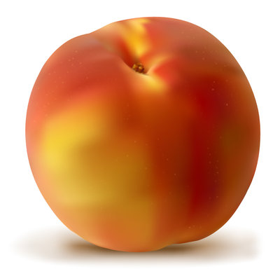 400x394 Peach Vector 2 An Images Hub