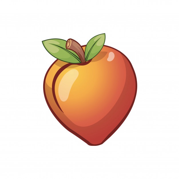 626x626 Peaches Vector Vectors, Photos And Psd Files Free Download