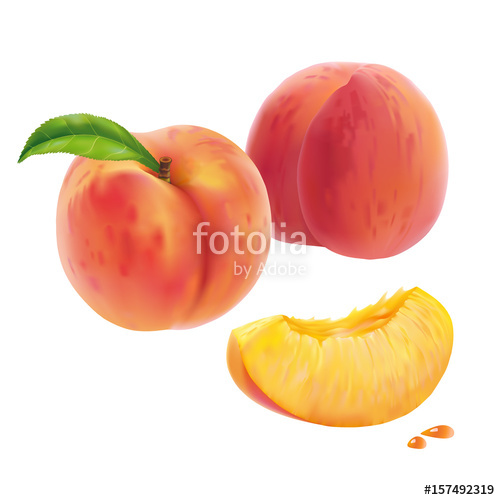500x500 Peaches And Slice Of Peach. Vector. Stock Image And Royalty Free