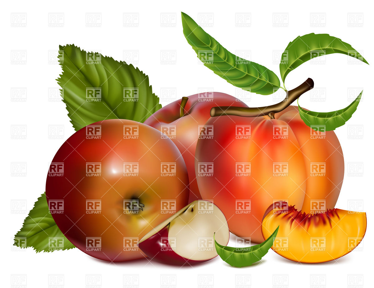 1200x925 Ripe Peach And Apple Slices Vector Image Vector Artwork Of Food