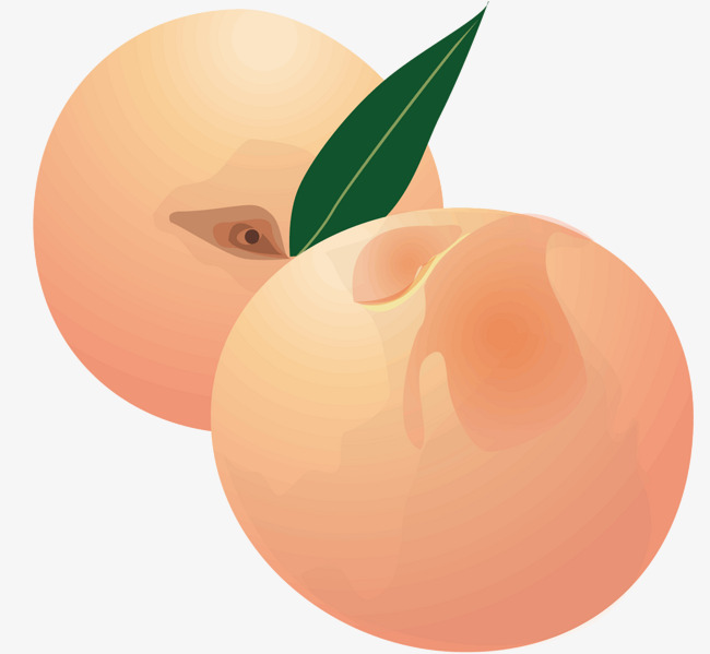 650x599 Two Peaches, Vector Diagram, Fruit, Food Png And Vector For Free