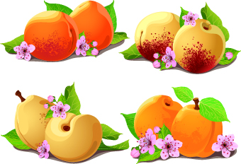 340x232 Fresh Pear And Peach Vector Free Download
