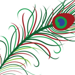 300x300 Free Vectors Peacock Feather Vector Shital Patel
