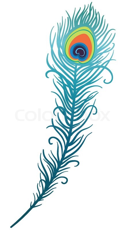 445x800 Illustration Of Beautiful Peacock Feather Stock Vector Colourbox