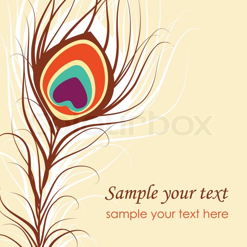 800x800 Art Peacock Feather Vector Illustration Stock Vector Colourbox