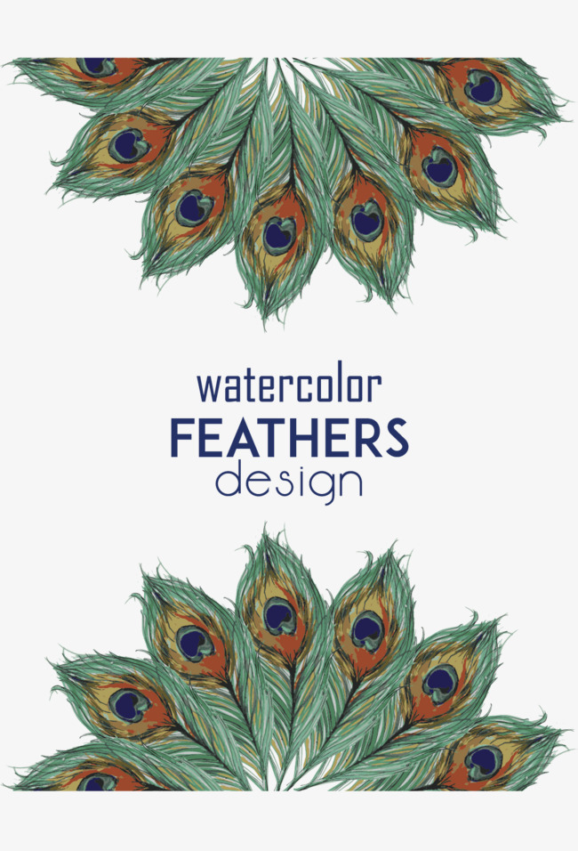 650x956 Vector Hand Painted Peacock Feathers, Vector Diagram, Hand Painted
