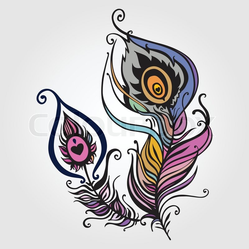 800x800 Beautiful Peacock Feather. Vector Illustration Stock Vector
