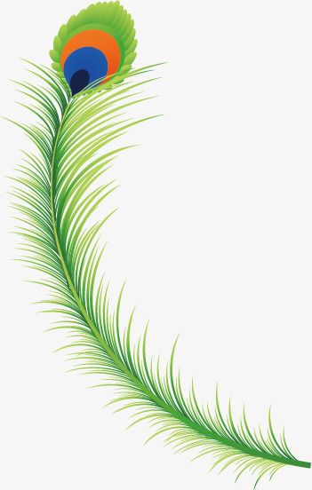 351x552 Painted Patterns Vector, Feather, Painted, Peacock Feather Png And