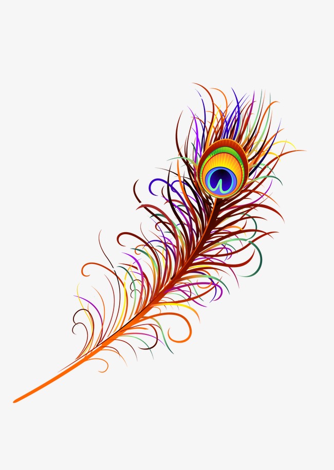 650x915 Peacock Feather, Color Peacock Feathers, Peacock Vector, Feather