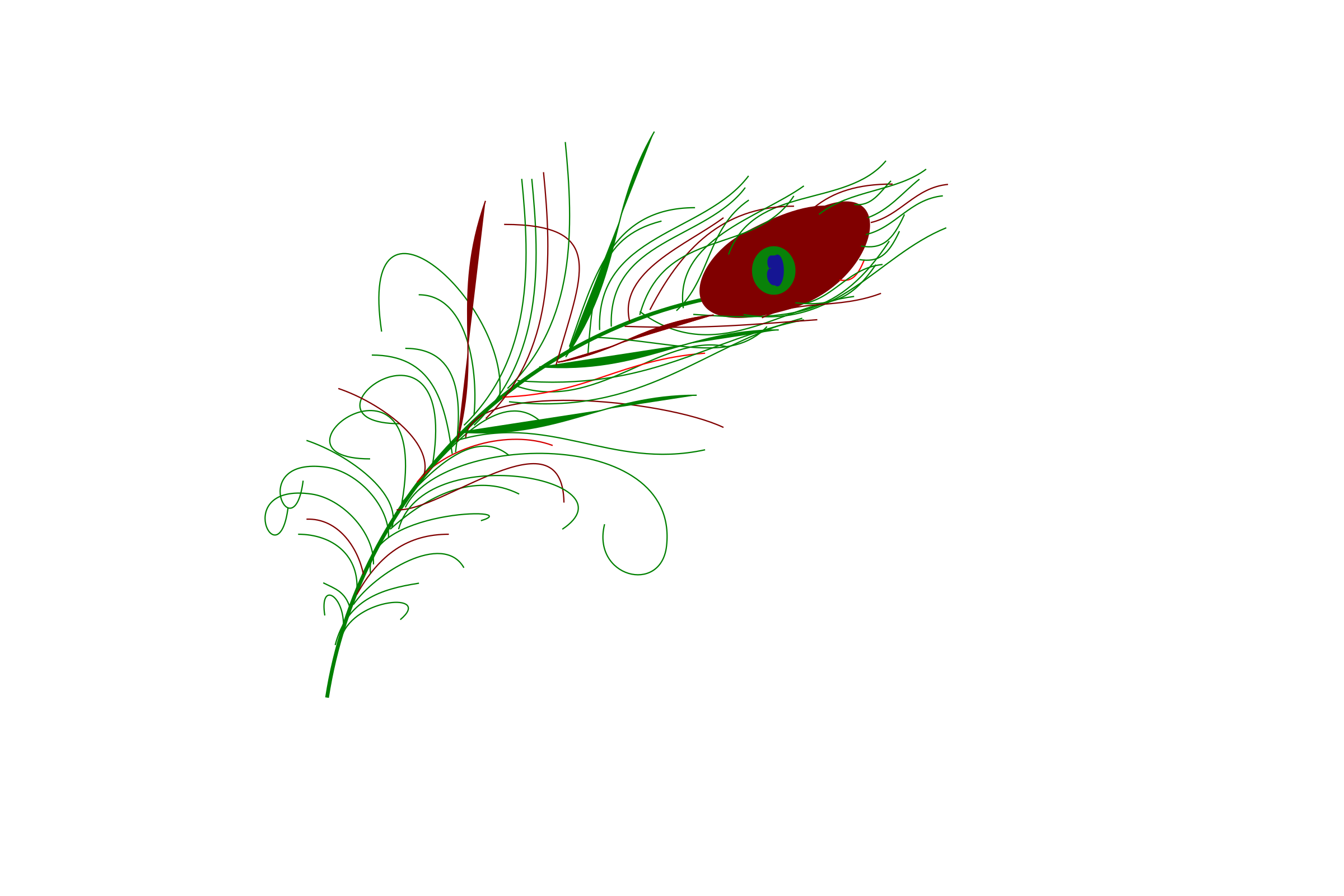 2400x1600 Peacock Feather Vector Clipart Image