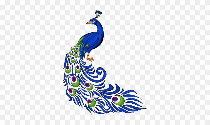 840x502 Peacock Feather Vector Graphics Png Png Images