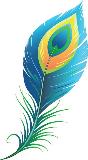 308x559 Peacock Feather Vector Id497216430 Inspirations