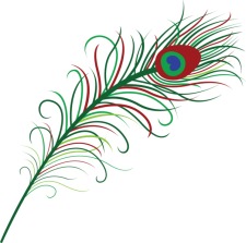 225x223 Peacock Feather Free Vector 4vector